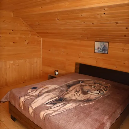 Гостевой дом в карпатах