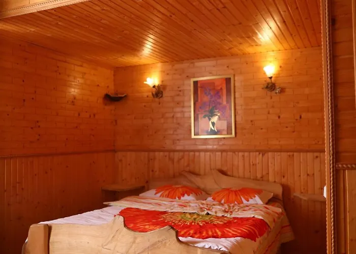 у карпатах Pensión