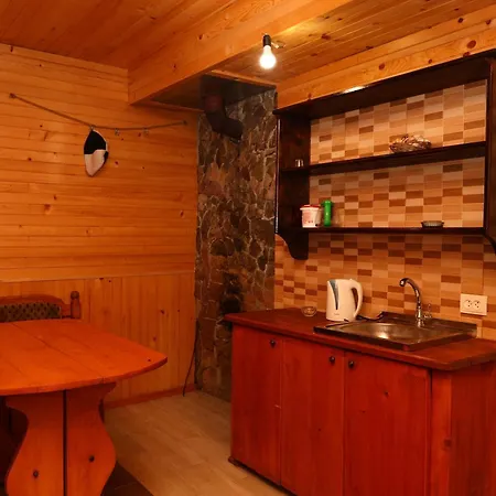 у карпатах Πανσιόν