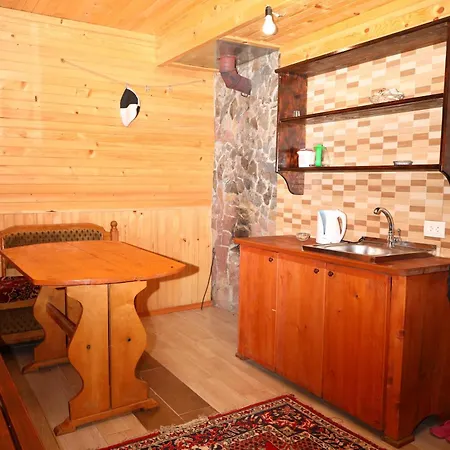 у карпатах Πανσιόν *