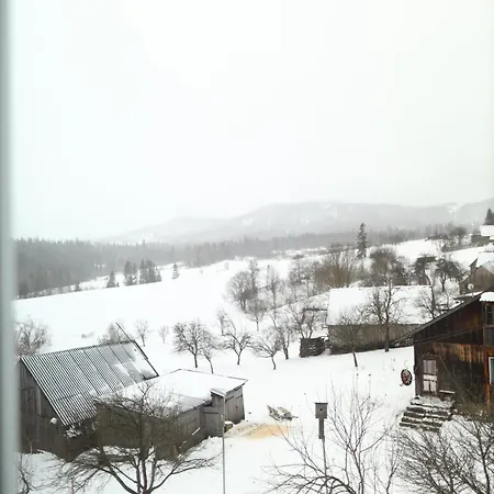 у карпатах Πανσιόν