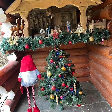 Шале в карпатах Гукливый